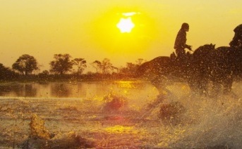 Safari a caballo en África